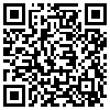 QR Code Handyversion