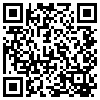 QR Code Handyversion