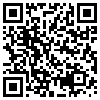 QR Code Handyversion