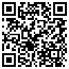 QR Code Handyversion