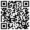 QR Code Handyversion