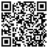 QR Code Handyversion