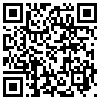 QR Code Handyversion