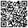 QR Code Handyversion