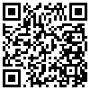 QR Code Handyversion