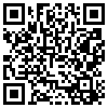 QR Code Handyversion