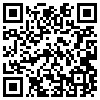 QR Code Handyversion