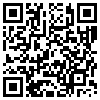 QR Code Handyversion