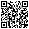 QR Code Handyversion