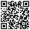 QR Code Handyversion