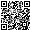 QR Code Handyversion