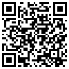 QR Code Handyversion