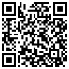 QR Code Handyversion