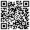 QR Code Handyversion