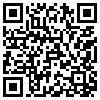 QR Code Handyversion