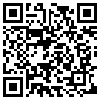 QR Code Handyversion