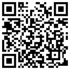 QR Code Handyversion