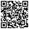 QR Code Handyversion