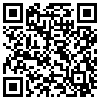 QR Code Handyversion