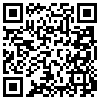 QR Code Handyversion