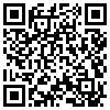 QR Code Handyversion