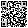 QR Code Handyversion