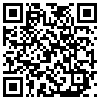 QR Code Handyversion