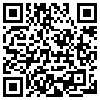 QR Code Handyversion