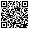 QR Code Handyversion