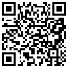 QR Code Handyversion