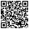 QR Code Handyversion