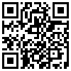 QR Code Handyversion