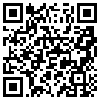 QR Code Handyversion