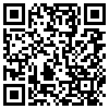 QR Code Handyversion