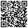 QR Code Handyversion