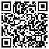 QR Code Handyversion