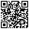 QR Code Handyversion