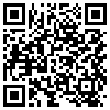 QR Code Handyversion