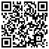 QR Code Handyversion