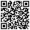 QR Code Handyversion