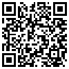 QR Code Handyversion