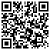 QR Code Handyversion