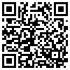 QR Code Handyversion