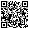 QR Code Handyversion