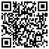 QR Code Handyversion