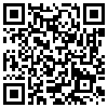 QR Code Handyversion