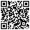 QR Code Handyversion