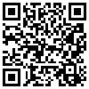 QR Code Handyversion