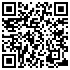 QR Code Handyversion