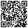 QR Code Handyversion